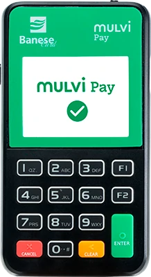 Mulvi Pay Mini