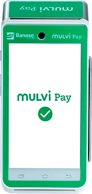 Mulvi Pay Smart